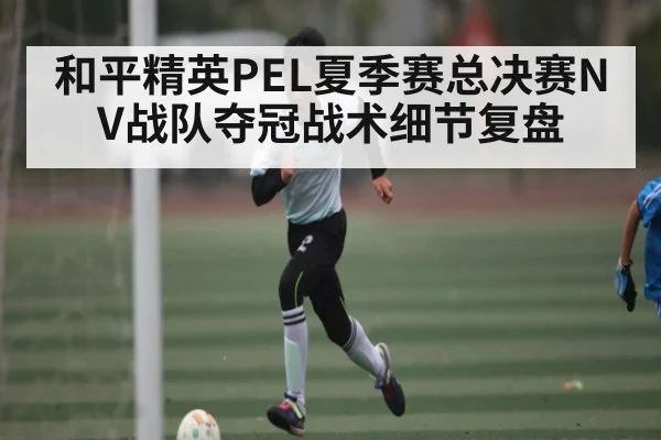 和平精英PEL夏季赛总决赛NV战队夺冠战术细节复盘